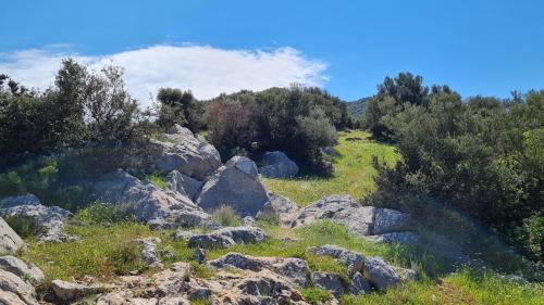 a field of rocks and trees on a hill at Toroni Pearl in Toroni