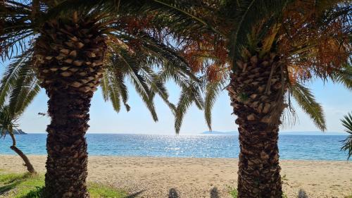two palm trees on a beach with the ocean at Toroni Pearl in Toroni