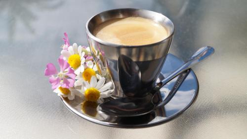 a cup of coffee with flowers on a plate at Toroni Pearl in Toroni