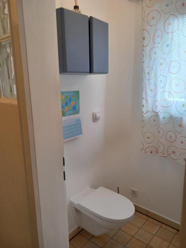 a bathroom with a toilet with blue cabinets at Grüne Auszeit in Georgensgmünd