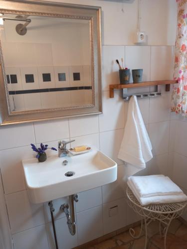 a bathroom with a sink and a mirror at Grüne Auszeit in Georgensgmünd