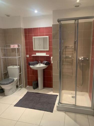 une salle de bain avec une douche, des toilettes et un lavabo dans l'établissement Trés Bel appartement de 105 M2 et 45 M2 de terrasse à 100 m du port, à Porto-Vecchio