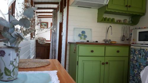 a kitchen with green cabinets and a wooden table at Roulotte Fleur des Champs in Sigalens
