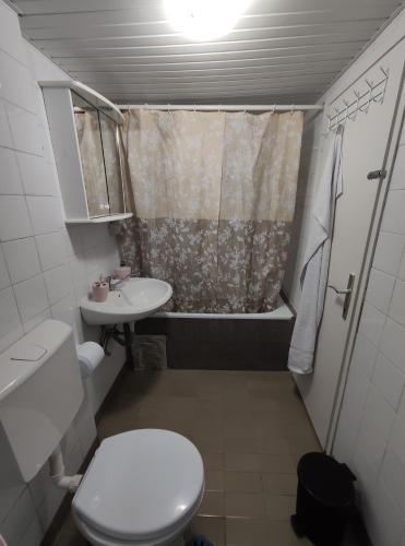 a bathroom with a toilet and a sink and a shower at Charming & Spacious 2 Bedroom Apartment with a Gorgeous 8th-floor view in Ohrid