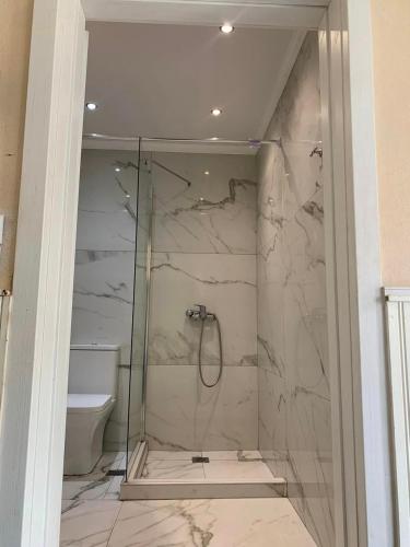 a bathroom with a glass shower with a toilet at Hotel Villa Anais in Prinos