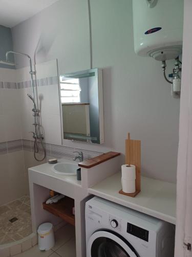 ein Badezimmer mit einer Waschmaschine und einem Waschbecken in der Unterkunft Maison tartanaise in La Trinité