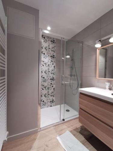 une salle de bain avec douche et lavabo dans l'établissement Villard de Lans, coeur de village.Bel appartement, à Villard-de-Lans