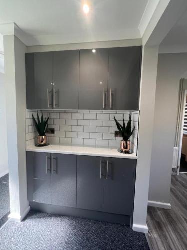 a kitchen with gray cabinets and two potted plants at The Coral 66 Guest House Southampton in Southampton
