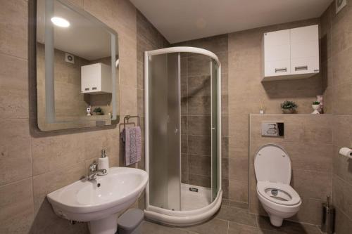 een badkamer met een douche, een toilet en een wastafel bij Apartman Neda N in Vrnjačka Banja