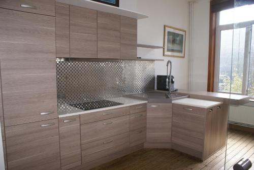 uma cozinha com armários de madeira, um lavatório e um fogão em Ostend Zen em Oostende