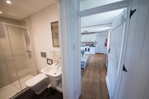 a bathroom with a sink and a shower and a toilet at Countryside cottage with pool in High Halden