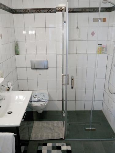a bathroom with a shower and a toilet and a sink at FEWO Traut in Wittlich