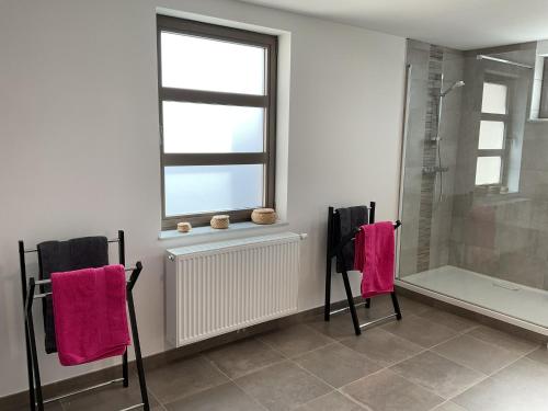 a bathroom with two pink towels and a shower at The Green Escape in Merlemont