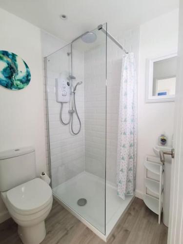 a white bathroom with a shower and a toilet at Eastern Green Apartment, Penzance - Beach access and Parking in Penzance
