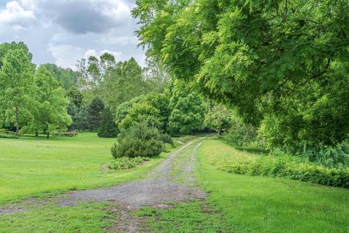 a dirt road in a field with trees at Svastics kúria in Szentgáloskér