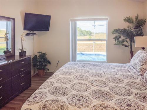 a bedroom with a bed and a tv and a window at 4 Bed 428 in Davenport