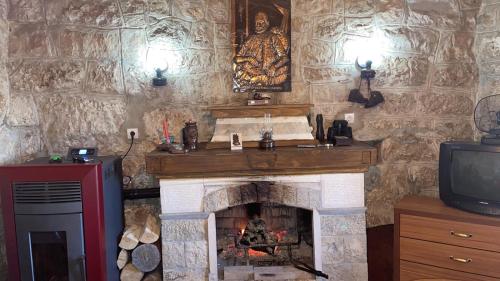 a living room with a fireplace and a tv at Lovcen Holiday Home in Cetinje