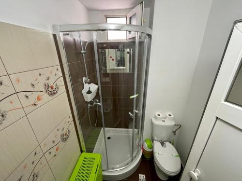 a bathroom with a shower and a toilet at Garsoniera moderna parcare internet in Piteşti