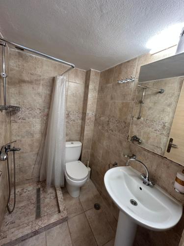 a bathroom with a toilet and a sink and a shower at Maroulitsas Sea Esta 1 in Haraki