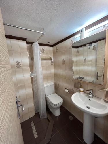a bathroom with a toilet and a sink at Maroulitsas Sea Esta 2 in Haraki