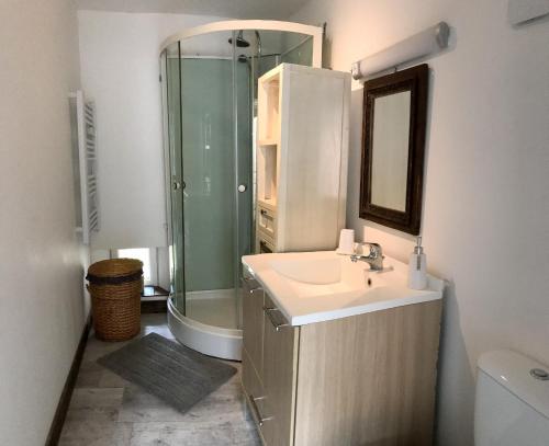 La salle de bains est pourvue d'un lavabo, d'une douche et d'un miroir. dans l'établissement Idha à proximité de Bayeux, à Vaucelles