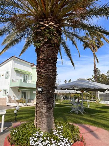 a palm tree in a garden with a table and an umbrella at 7Syn7 in Oreoí