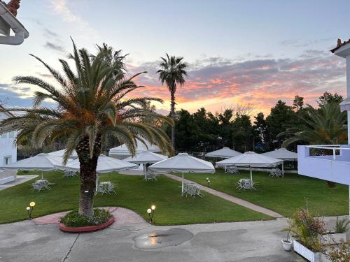 a courtyard with white umbrellas and tables and a palm tree at 7Syn7 in Oreoí