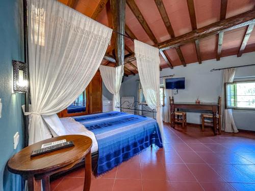 een slaapkamer met een bed, een tafel en een televisie bij Agriturismo La Topaia in Borgo San Lorenzo