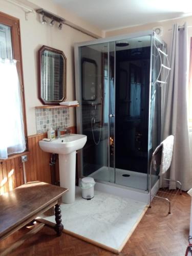uma casa de banho com um chuveiro e um lavatório. em Chambre Rdc em Saint-Aubin-le-Monial