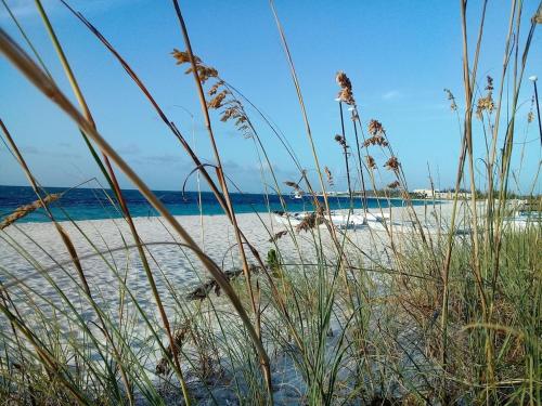 a sandy beach with some grass and the ocean at Private Guest House 2 bedrooms & 2 baths near Grace Bay Beach & Long Bay Beach. in Providenciales