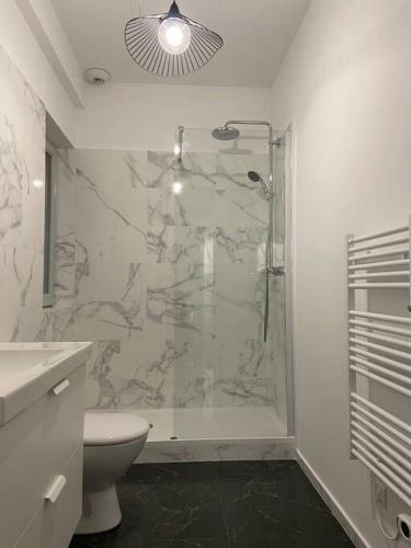 une salle de bain avec douche et toilettes dans l'établissement Appartement avec ventilateurs proche du Palais des Papes, à Avignon