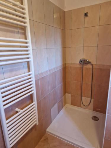 Koupelna v ubytování GuestHouse Flora