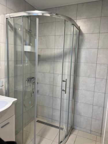 ムルテルにあるAPARTMAN “IVA” 4+2のバスルーム(ガラスドア付きのシャワー付)