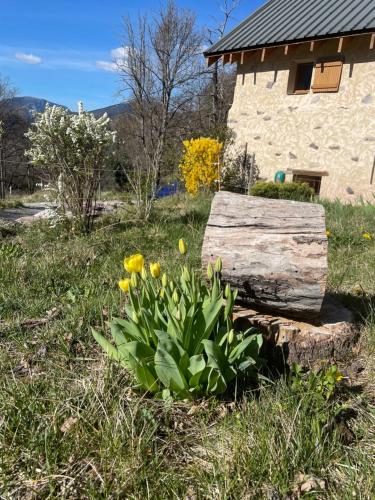 Κήπος έξω από το CHALET LA BOLLINE