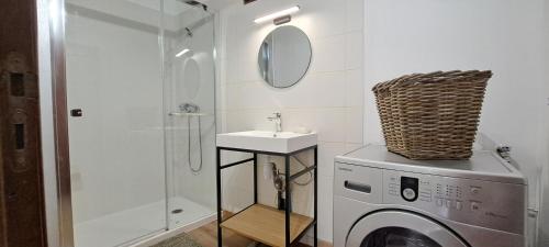 a bathroom with a washing machine and a sink at Mazet en provence pour 4, piscine chauffée privée, jardin clos privé, barbecue, chiens admis in Sainte-Jalle