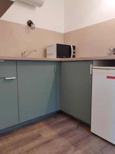une cuisine avec un évier et un micro-ondes sur un comptoir dans l'établissement Chic' Studio, à Cavaillon