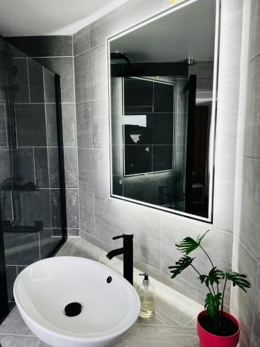 a bathroom with a sink and a mirror and a plant at Designer House in Bristol - Hot Tub - Sleeps 10 in Bristol