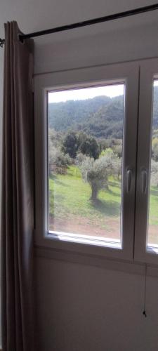 a window with a view of a tree in a field at Evergreen Thassos in Skala Potamias