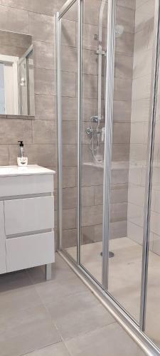 a bathroom with a shower and a sink at Quinta De Oliveiras in Beco