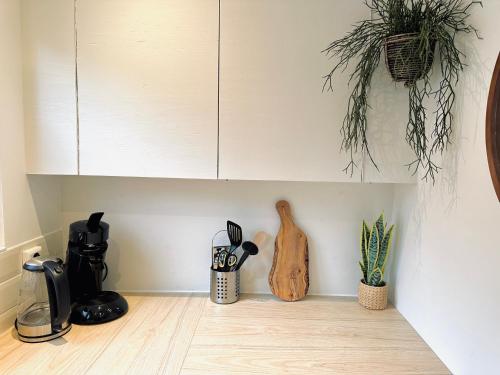 a kitchen with white cabinets and plants on the wall at Wellness at Sea in Egmond aan Zee