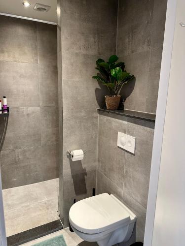 a bathroom with a toilet and a plant on the wall at Wellness at Sea in Egmond aan Zee