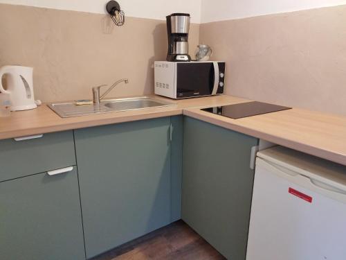 une petite cuisine avec un évier et un micro-ondes dans l'établissement Chic' Studio, à Cavaillon