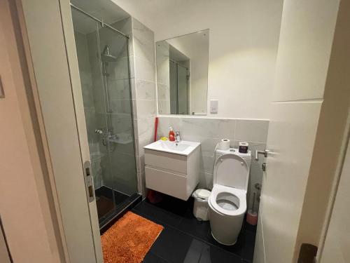 ein Bad mit einem WC, einem Waschbecken und einer Dusche in der Unterkunft Embassy Gardens Suites by Olive Gold in Cantonments