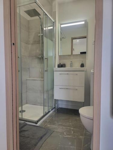 a bathroom with a glass shower and a toilet at bien situé entre mer et montage in Santa-Maria-di-Lota