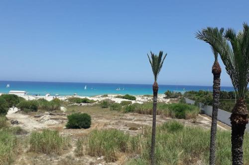 a beach with two palm trees and the ocean at Appartement vue mer in Mahdia