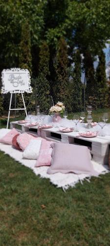 a picnic table with pink pillows on top of the grass at Palić vila Maša pr Emina Stipancevic in Palić