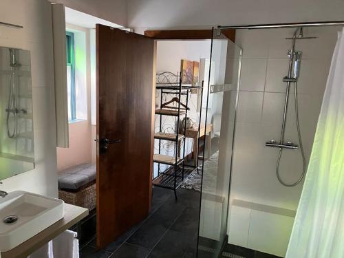 a bathroom with a shower and a glass door at casa das ameias in Folgosa