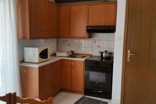 uma pequena cozinha com um micro-ondas e um fogão em Shadow of Olympus em Olympiakí Aktí
