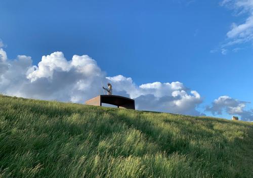 a statue on top of a grassy hill at Waddenhoes Gastenverblijven in Pieterburen