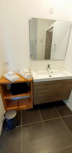 une salle de bain avec un lavabo et un miroir dans l'établissement Maison avec garage 24 HEURES DU MANS VOITURES et toute manifestation, au Mans